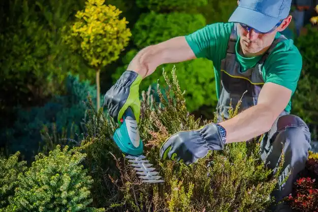 landscaping services Ossineke